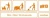 Dolphin-GRESOL-Srodek-Plyn-do-Gruntownego-Doczyszczania-Posadzek-1L-Kod-producenta-D150-1.webp