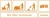 Dolphin-POWER-Clean-Srodek-Plyn-do-Gruntownego-Doczyszczania-Posadzek-1L-Kod-producenta-D140-1.webp