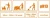 Dolphin-Forte-Srodek-do-Biezacego-Mycia-i-Doczyszczania-Posadzek-1L-Kod-producenta-D130-1.webp